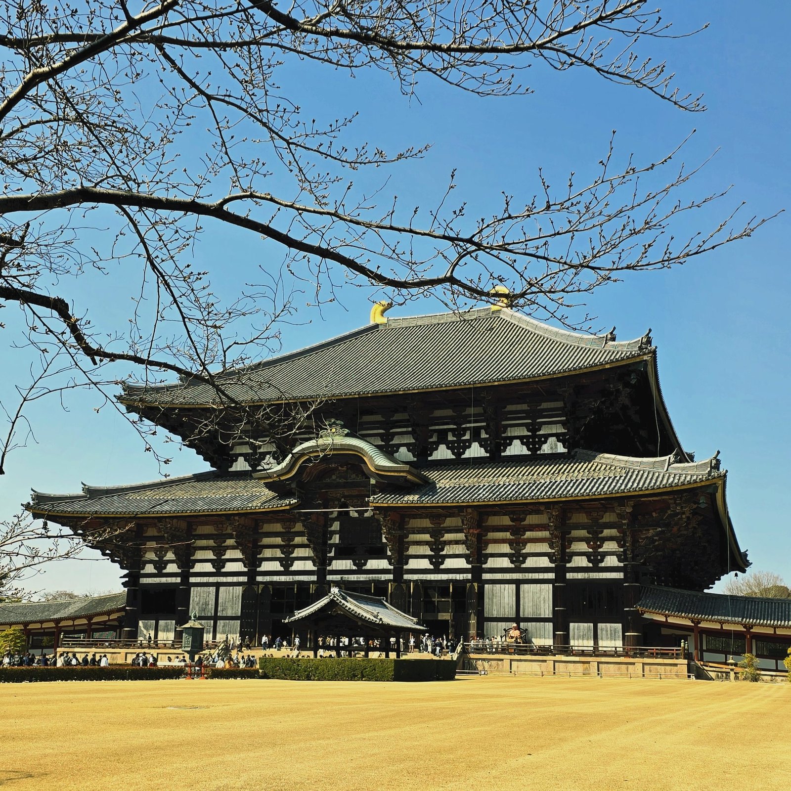 Japan 17D16N · Luxury Cultural Immersion · Ancient Capitals & Onsen Retreats - Image 5