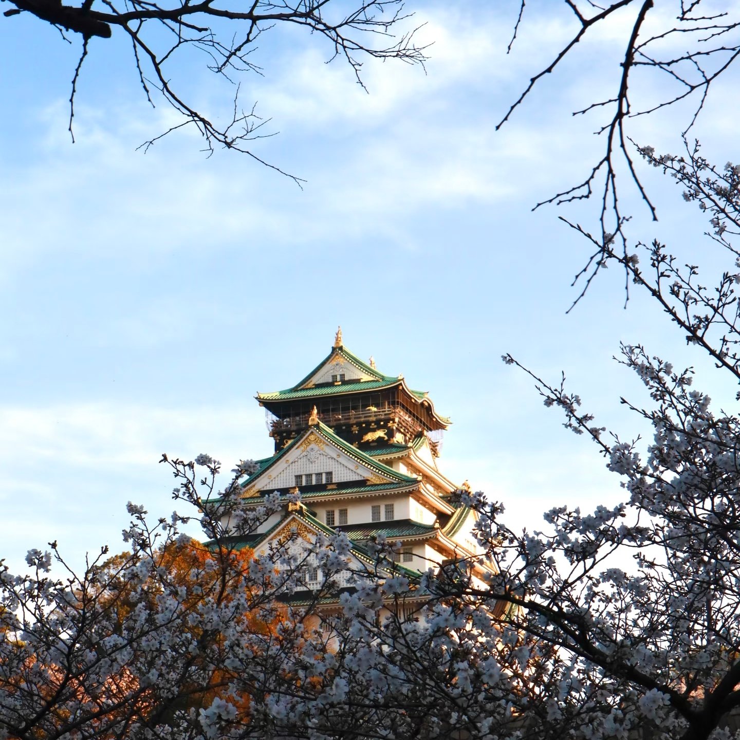 Japan 17D16N · Luxury Cultural Immersion · Ancient Capitals & Onsen Retreats - Image 4