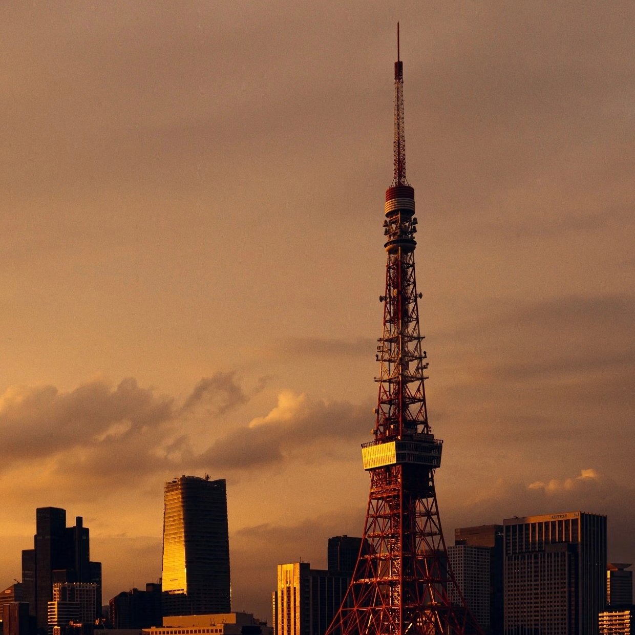Japan 17D16N · Luxury Cultural Immersion · Ancient Capitals & Onsen Retreats - Image 8