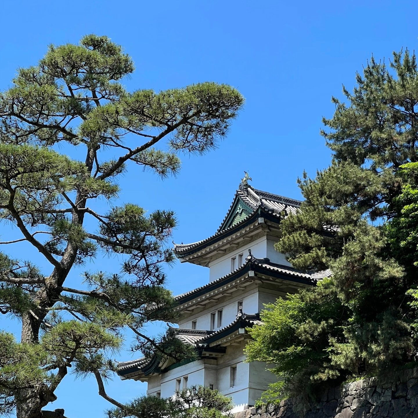 Japan 17D16N · Luxury Cultural Immersion · Ancient Capitals & Onsen Retreats - Image 3