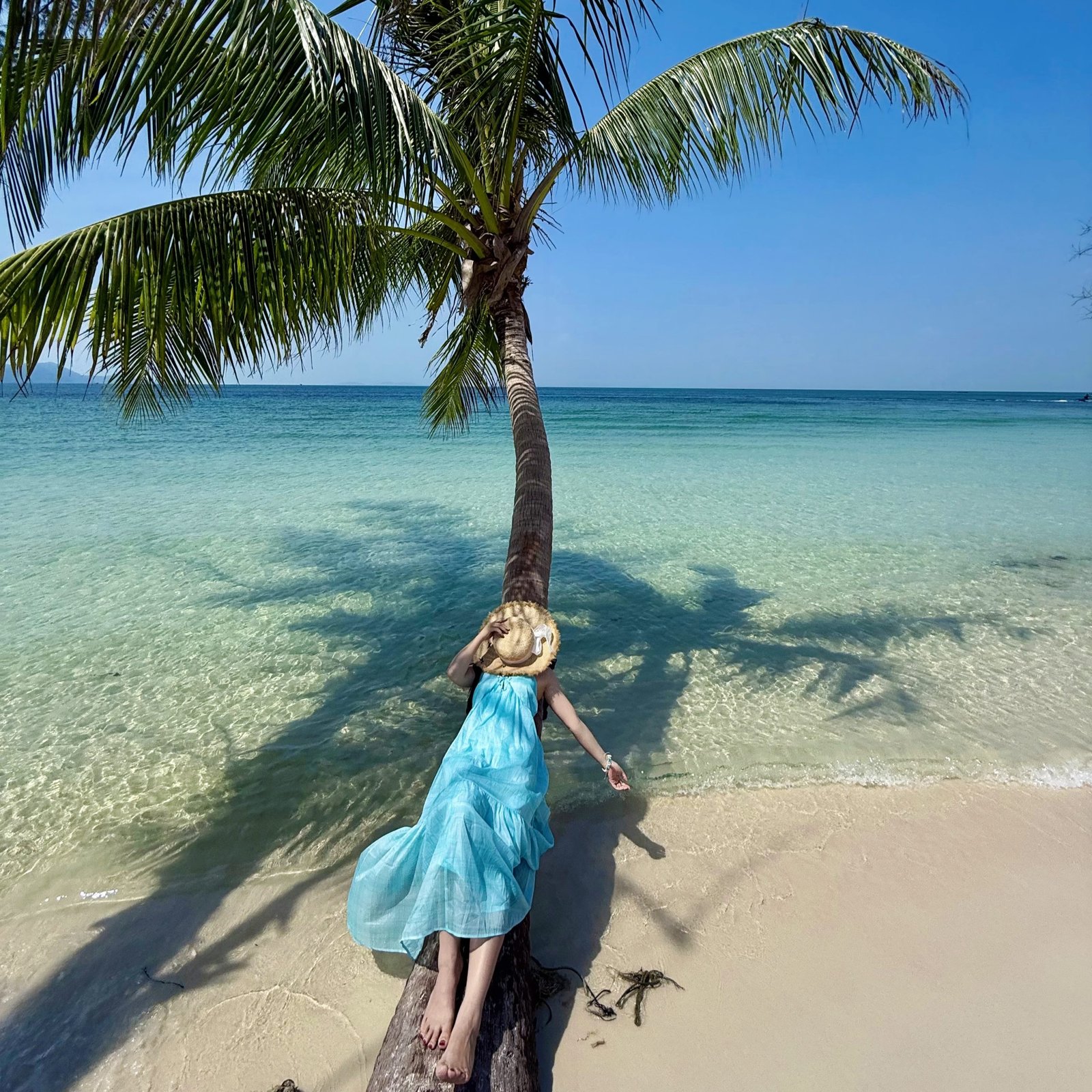 Vietnam Da Nang 5D4N · Classic Small-Group · All-Inclusive Comfort - Image 10
