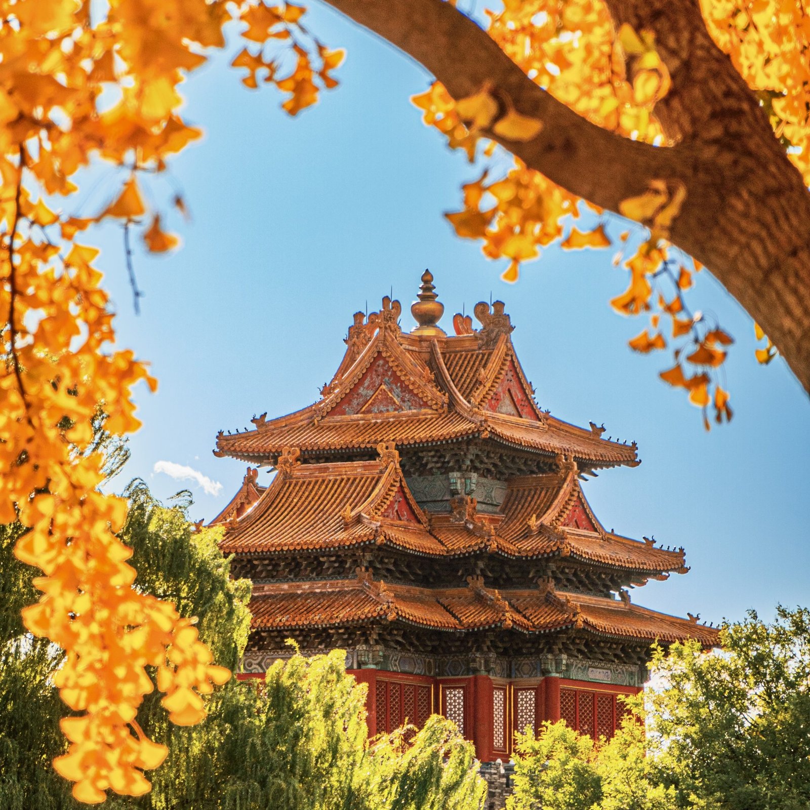 Beijing 5D4N · Luxury Small-Group · All-Inclusive Comfort - Image 3