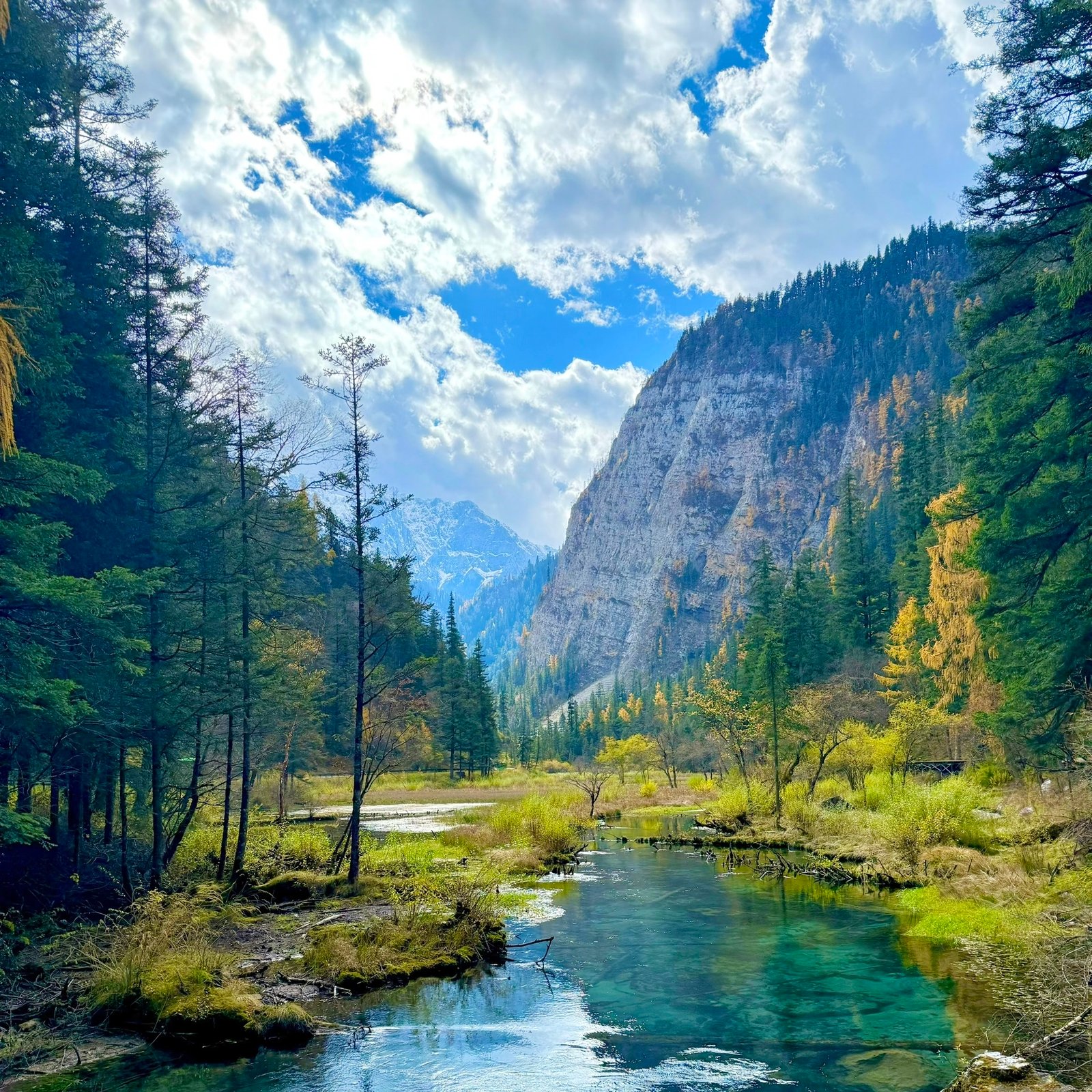 Jiuzhaigou & Huanglong + Minjiang Source 3D2N VIP Tour (2–9 Pax) - Image 5