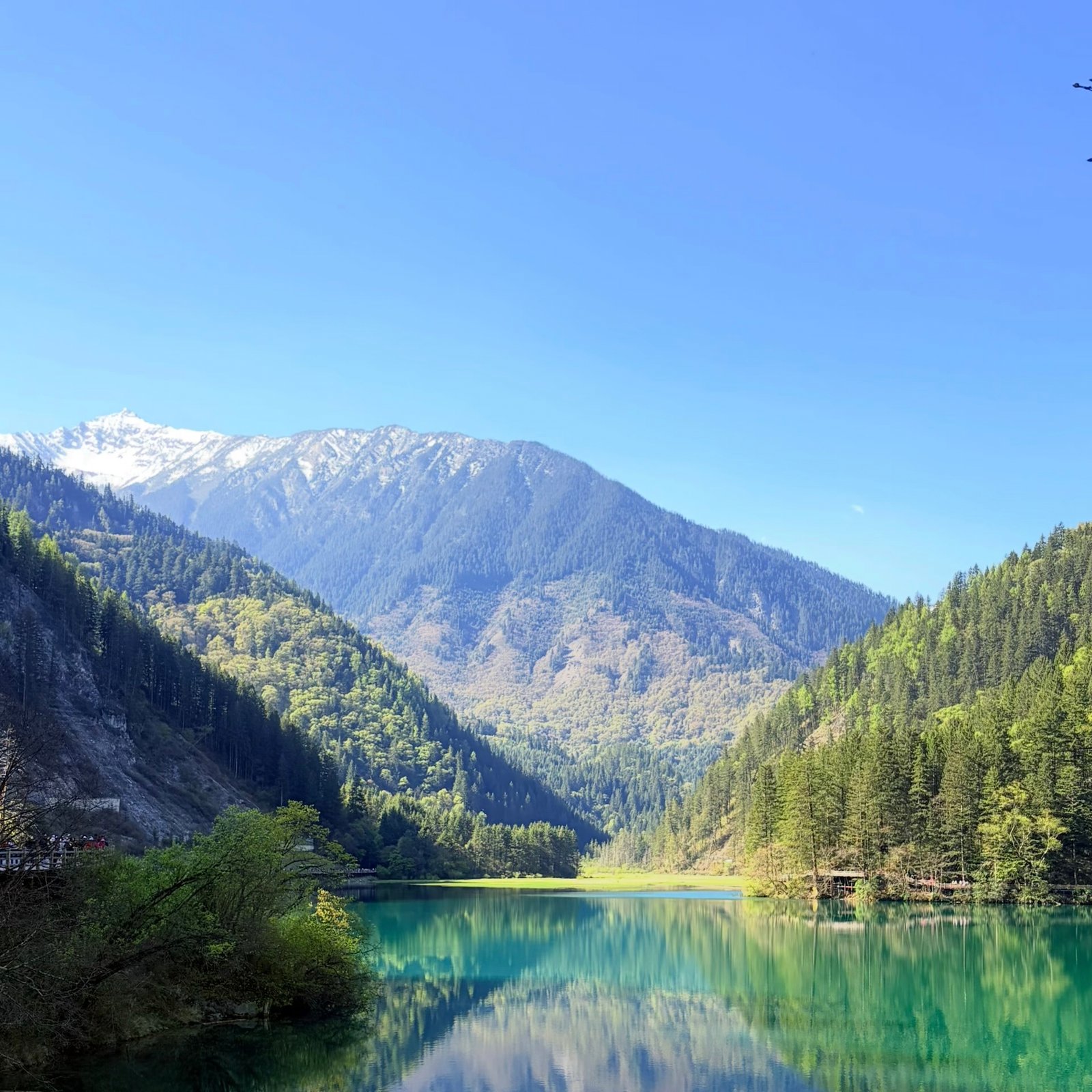 Jiuzhaigou & Huanglong + Minjiang Source 3D2N VIP Tour (2–9 Pax)