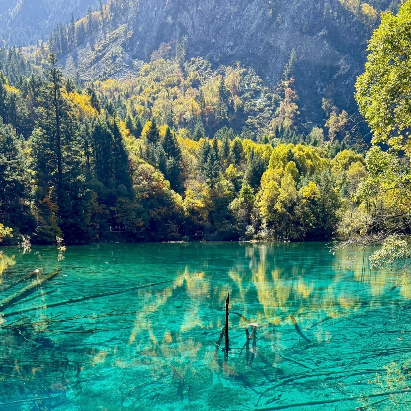 Jiuzhaigou & Huanglong + Minjiang Source 3D2N VIP Tour (2–9 Pax) - Image 7