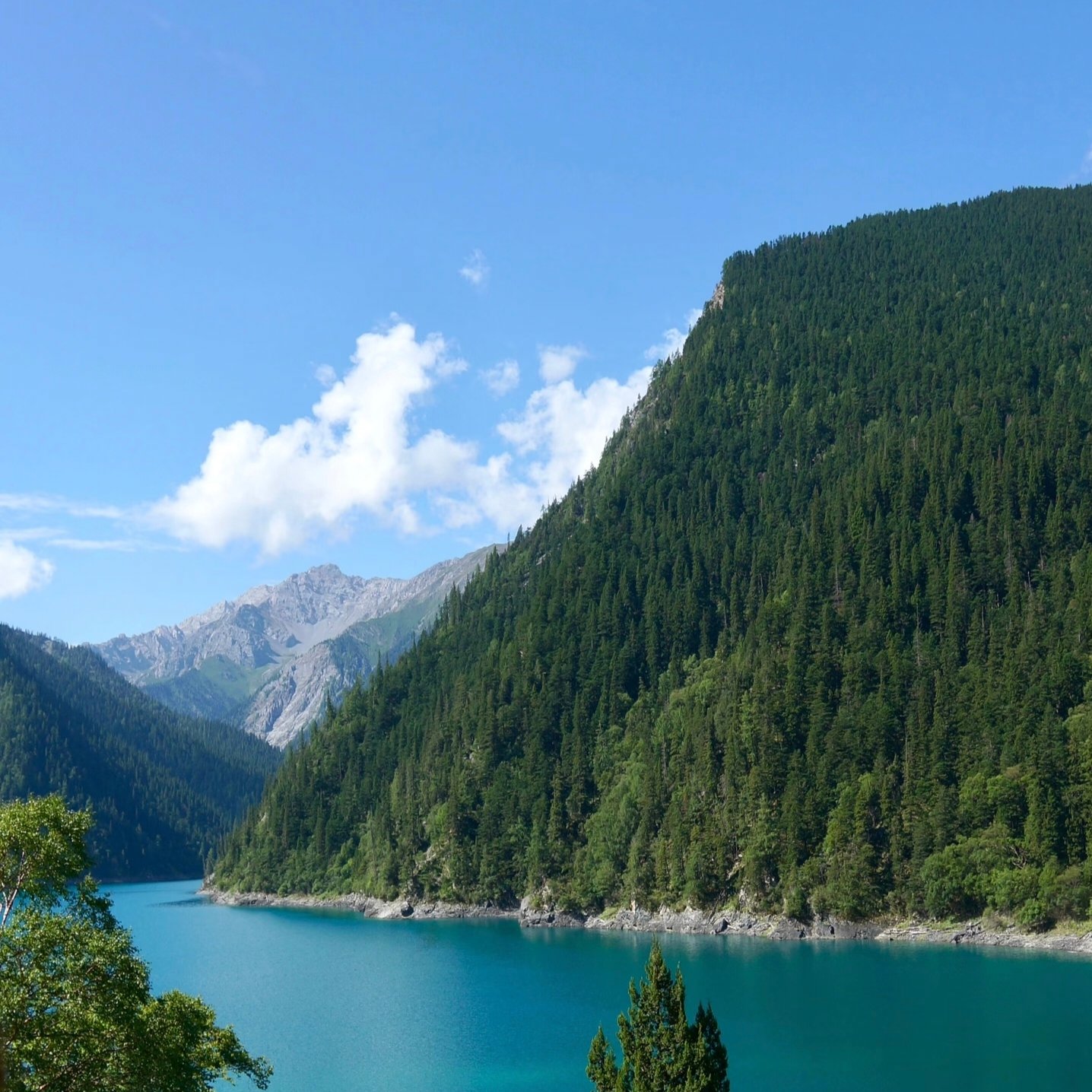 Jiuzhaigou & Huanglong + Minjiang Source 3D2N VIP Tour (2–9 Pax) - Image 4