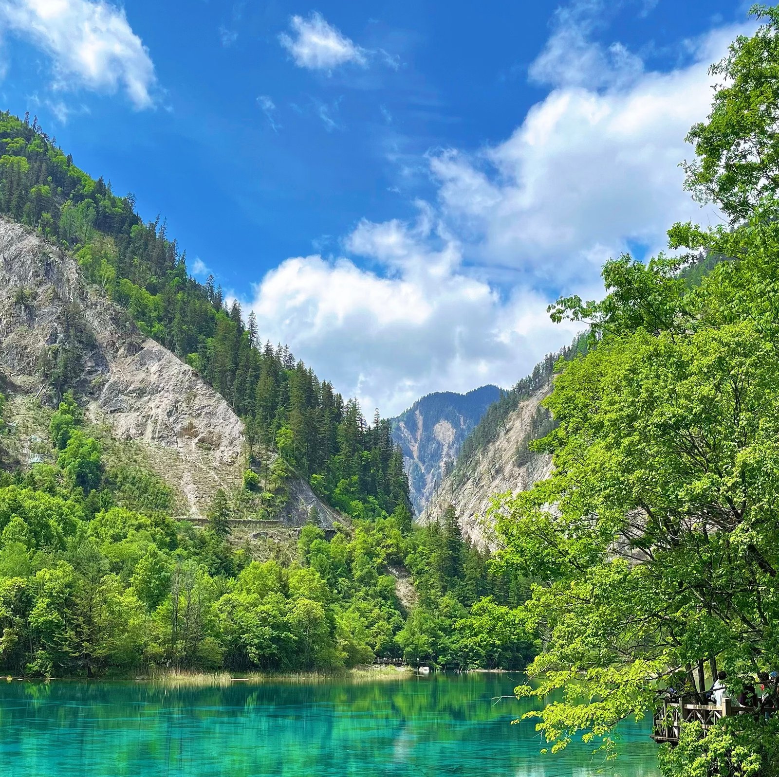 Jiuzhaigou & Huanglong + Minjiang Source 3D2N VIP Tour (2–9 Pax) - Image 6