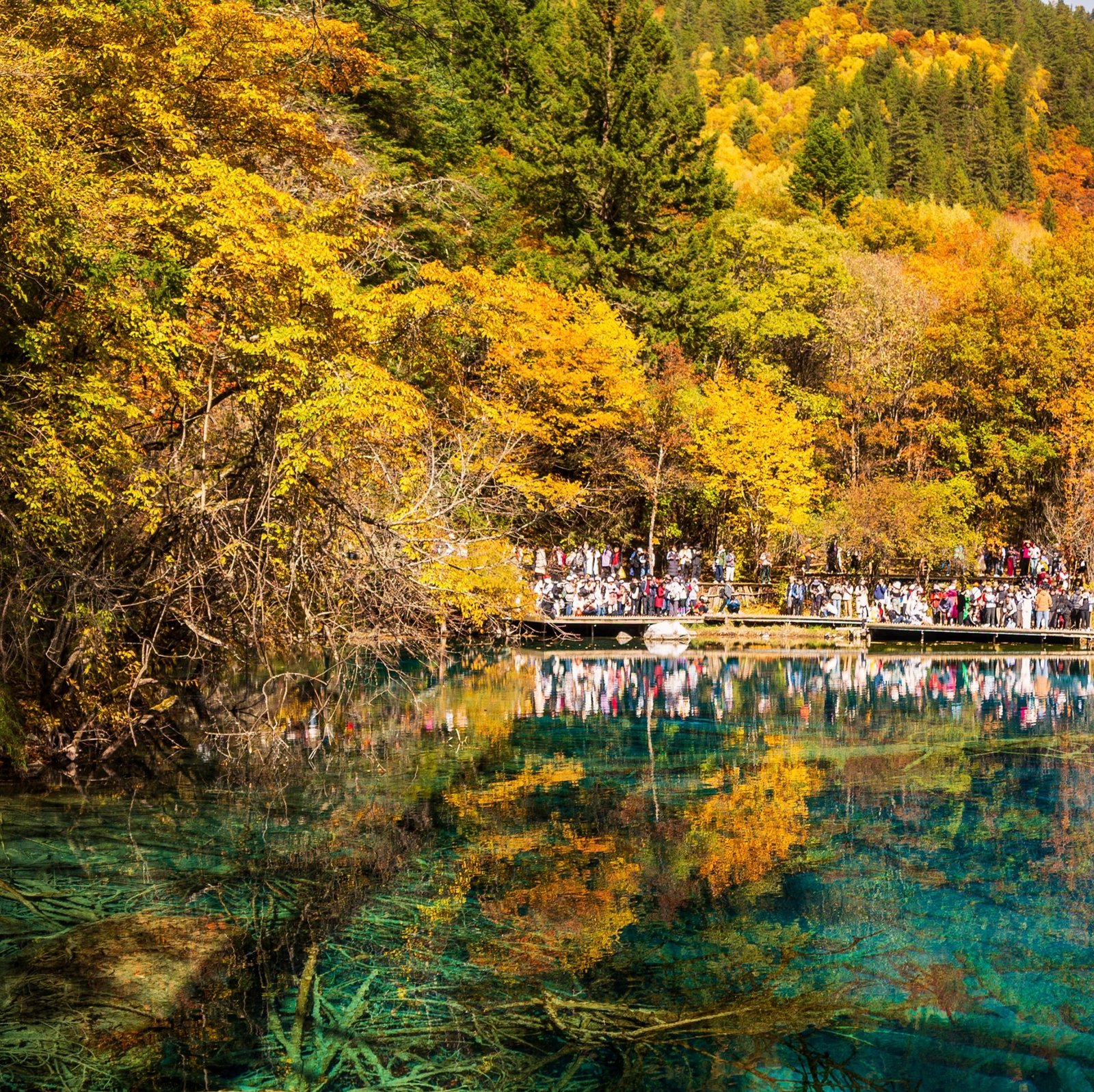 Jiuzhaigou & Huanglong + Minjiang Source 3D2N VIP Tour (2–9 Pax) - Image 10