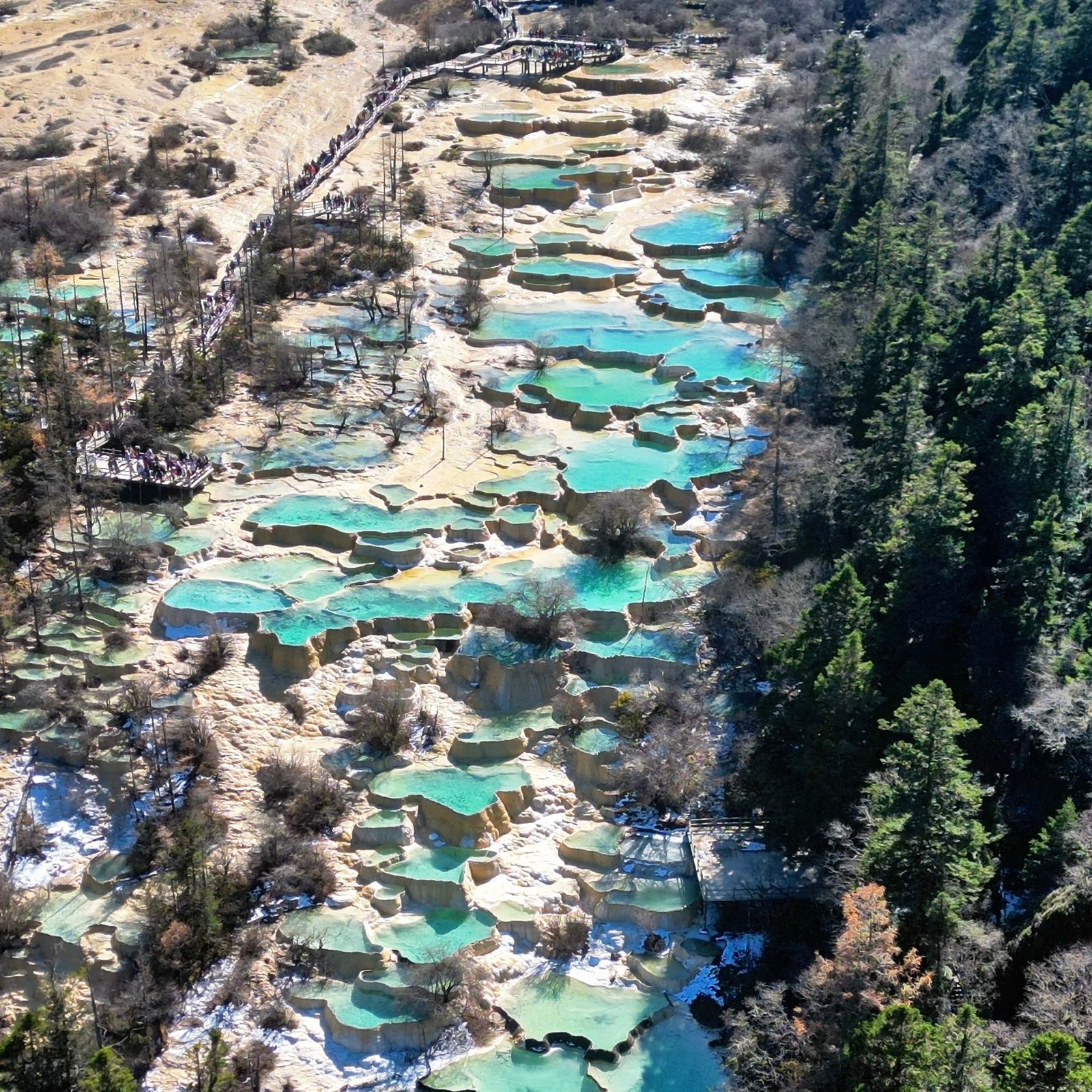 Jiuzhaigou & Huanglong + Minjiang Source 3D2N VIP Tour (2–9 Pax) - Image 11
